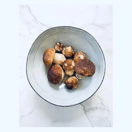 Pizzini Mottarone - Restaurant And 招待所 斯特雷萨